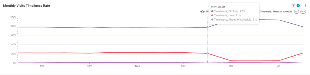 Example report of monthly visits timeliness rate
